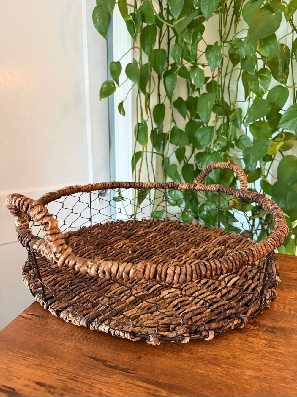 Woven Rattan and Wire Serving Basket Tray - Brown